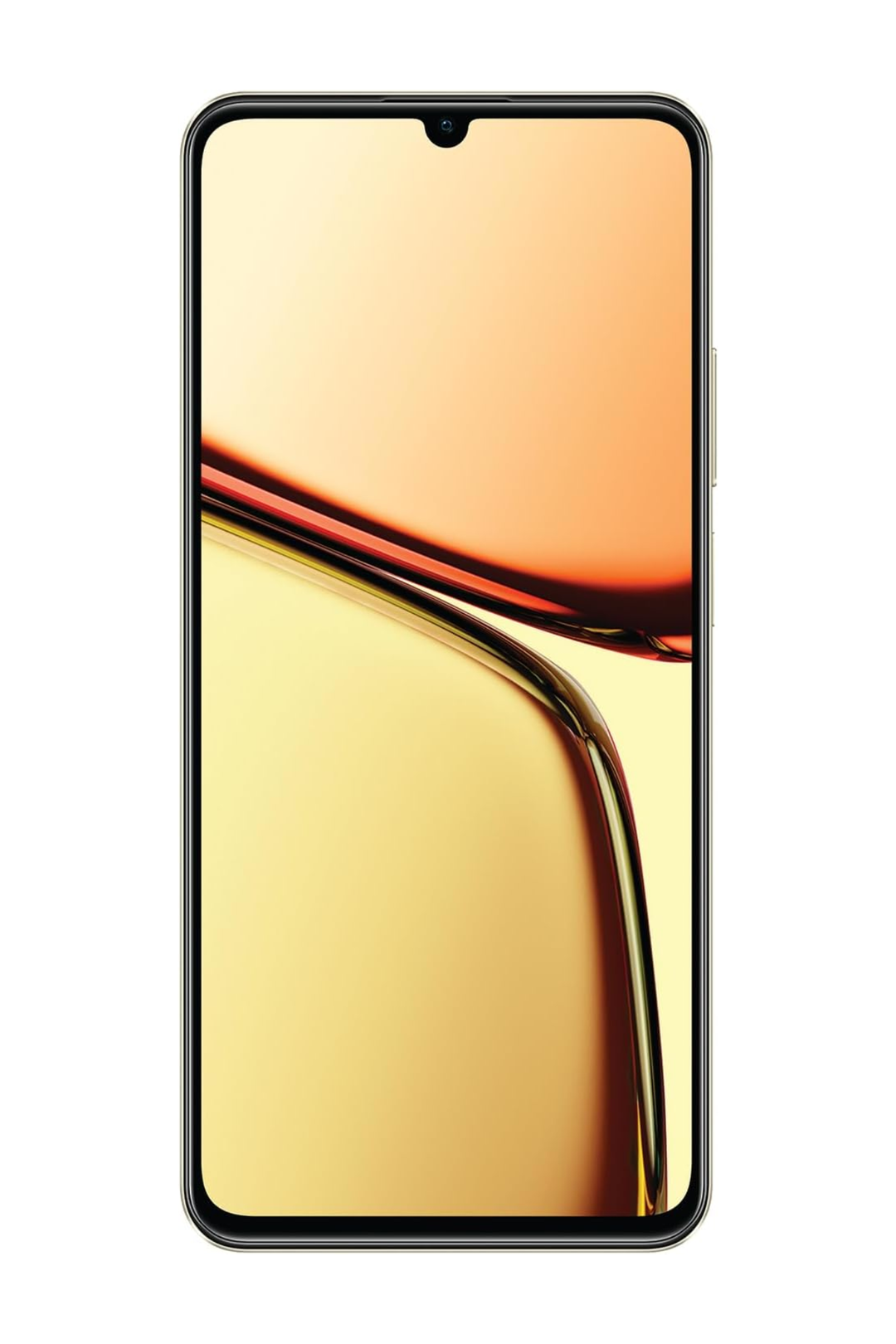 C61 256GB 4G Dual Sim Cellphone - Gold - Box Bundle