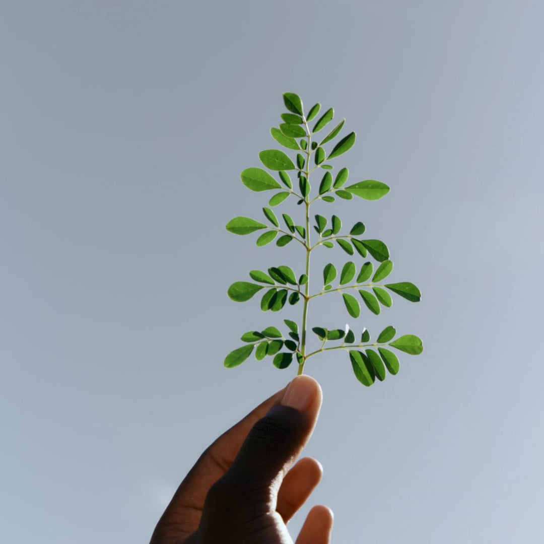 African Gold - Glow & Restore Oil Elixir