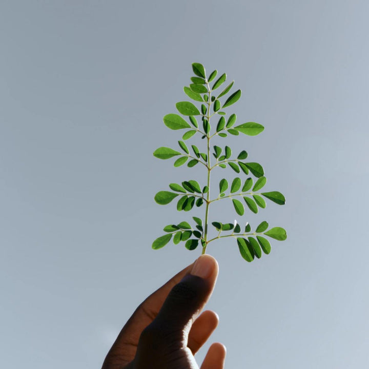 African Gold - Glow & Restore Oil Elixir