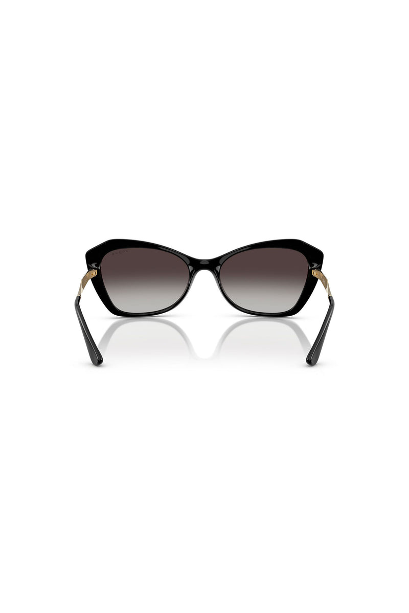 Large Framed Sunglasses - Black