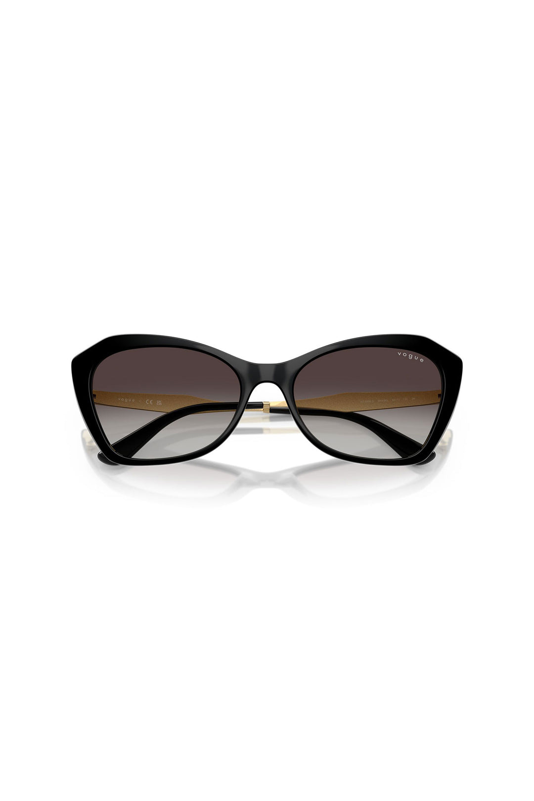 Large Framed Sunglasses - Black