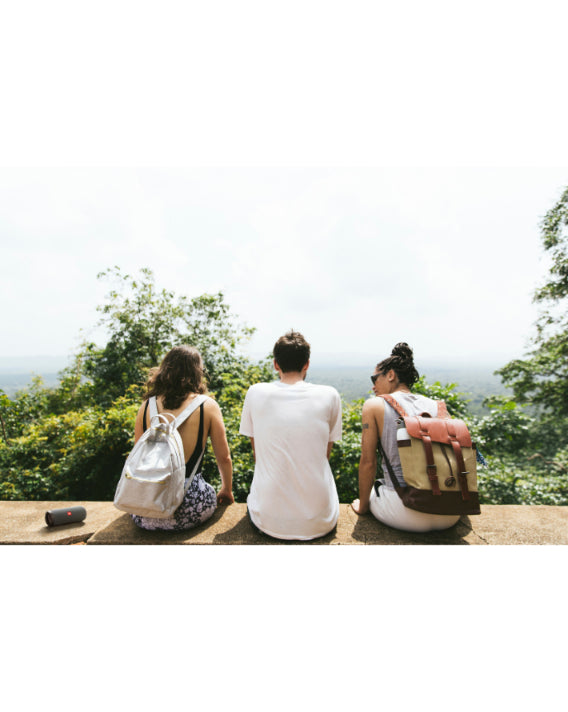 Flip Essential 2 Portable BT Speaker - Grey