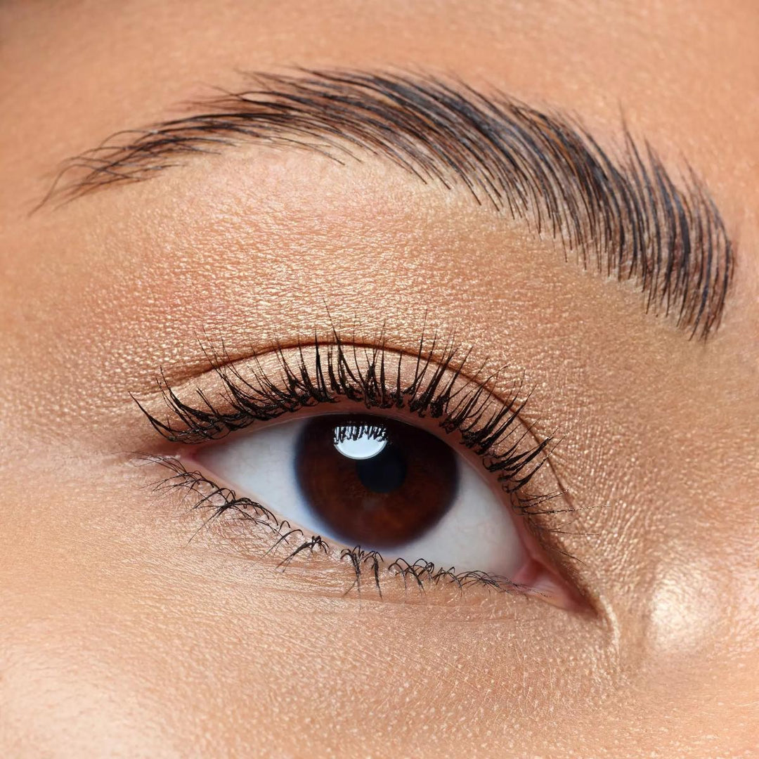 Art Couleurs Eyeshadow