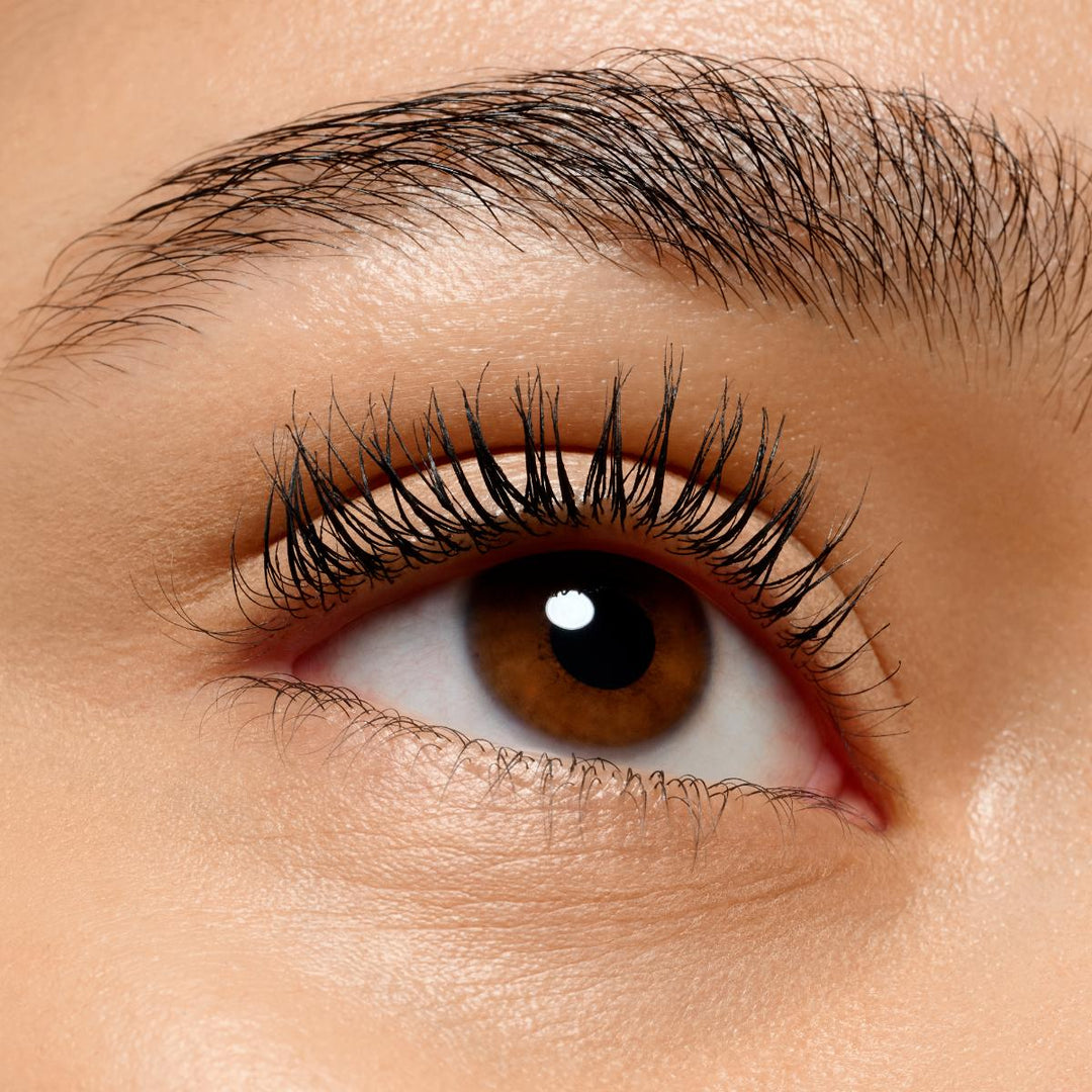 Lash PRINCESS false lash effect mascara EXTREME waterproof