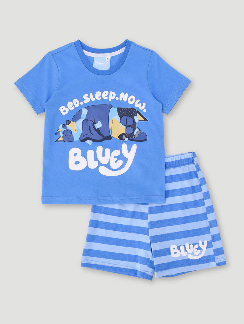Pre-Boys Bluey Sleep Set - Blue