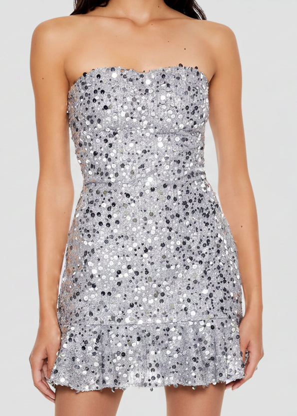 A Line Tube Mini Dress - Silver