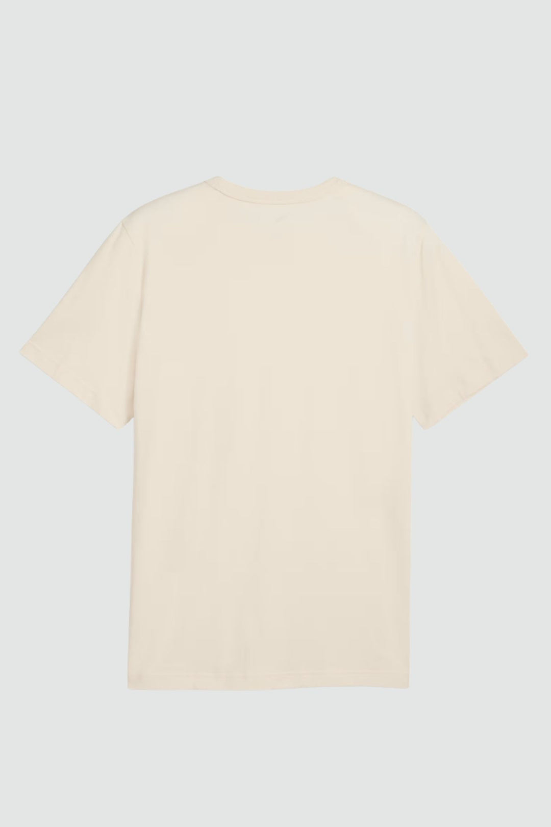 Class Graphic Tee - Stone