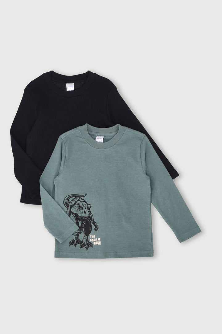 Pre-Boys 2 Pack Long Sleeve Dino Tee - Teal/Black