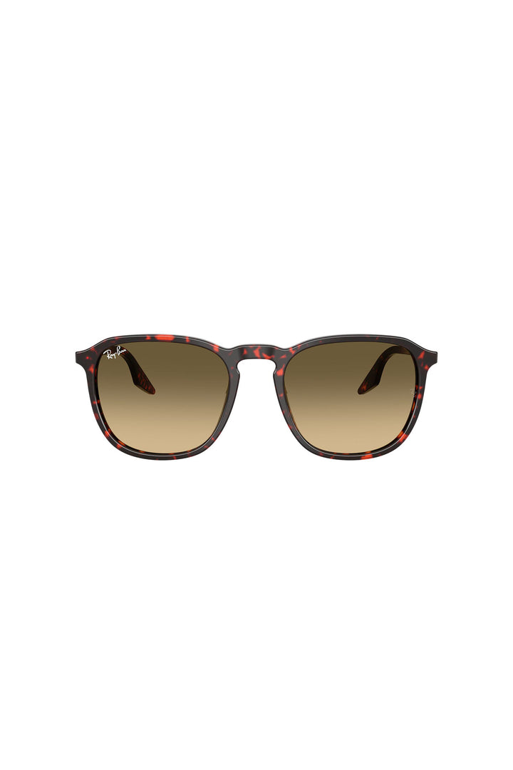 Havana Turtle Sunglasses - Red