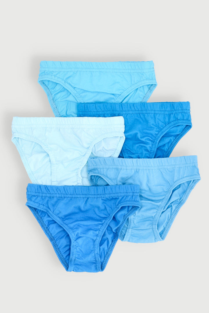 Pre-Boys 5 Pack Plain Briefs - Blue