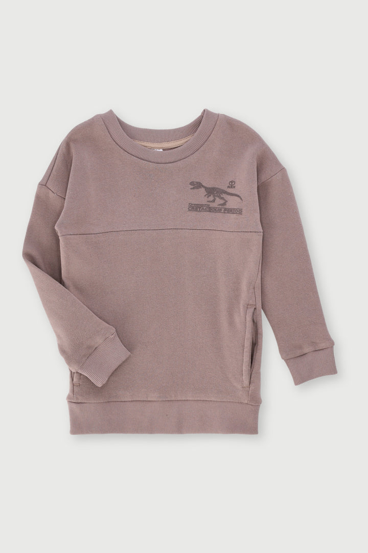 Pre-Boys Dino Fleece Crew Top - Taupe