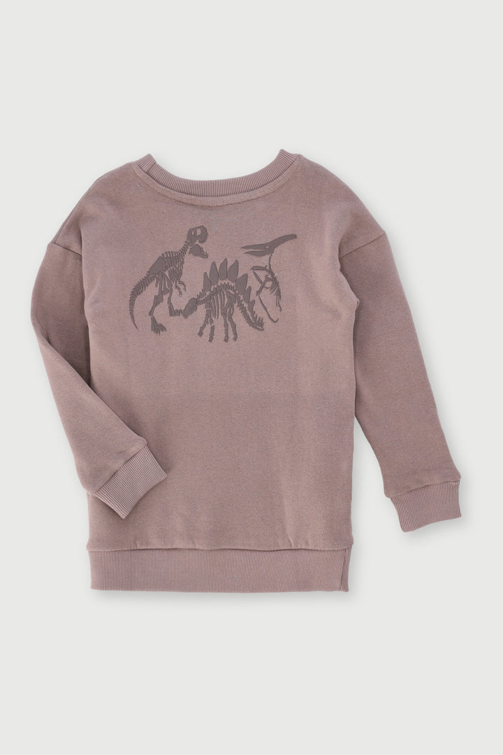 Pre-Boys Dino Fleece Crew Top - Taupe