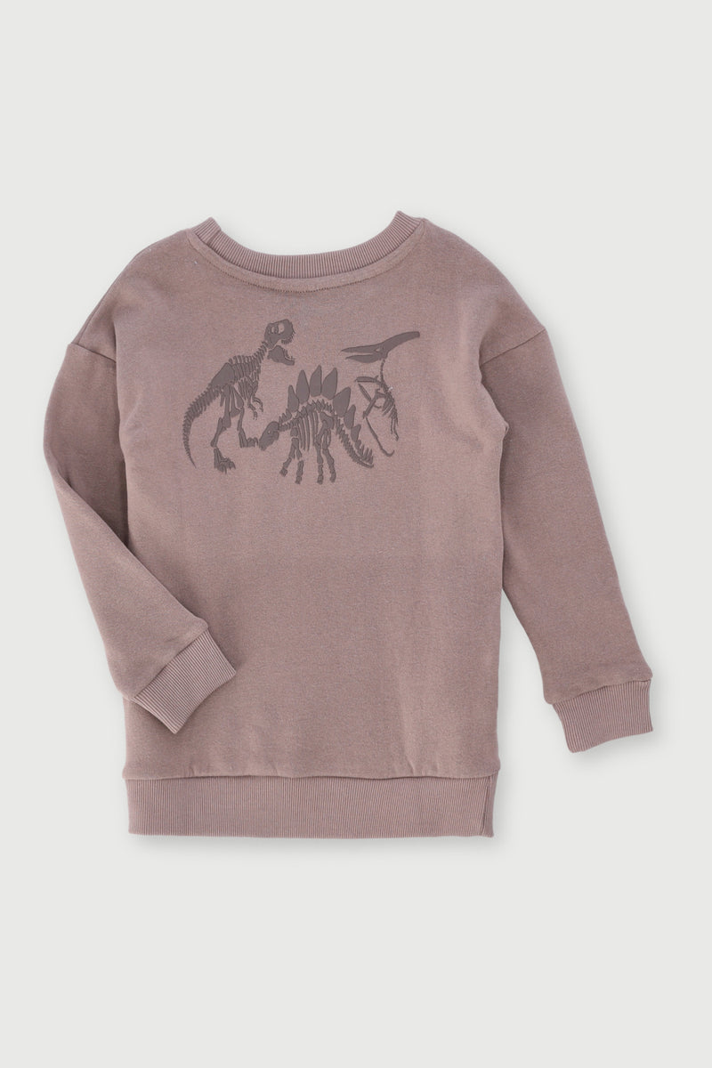Pre-Boys Dino Fleece Crew Top - Taupe