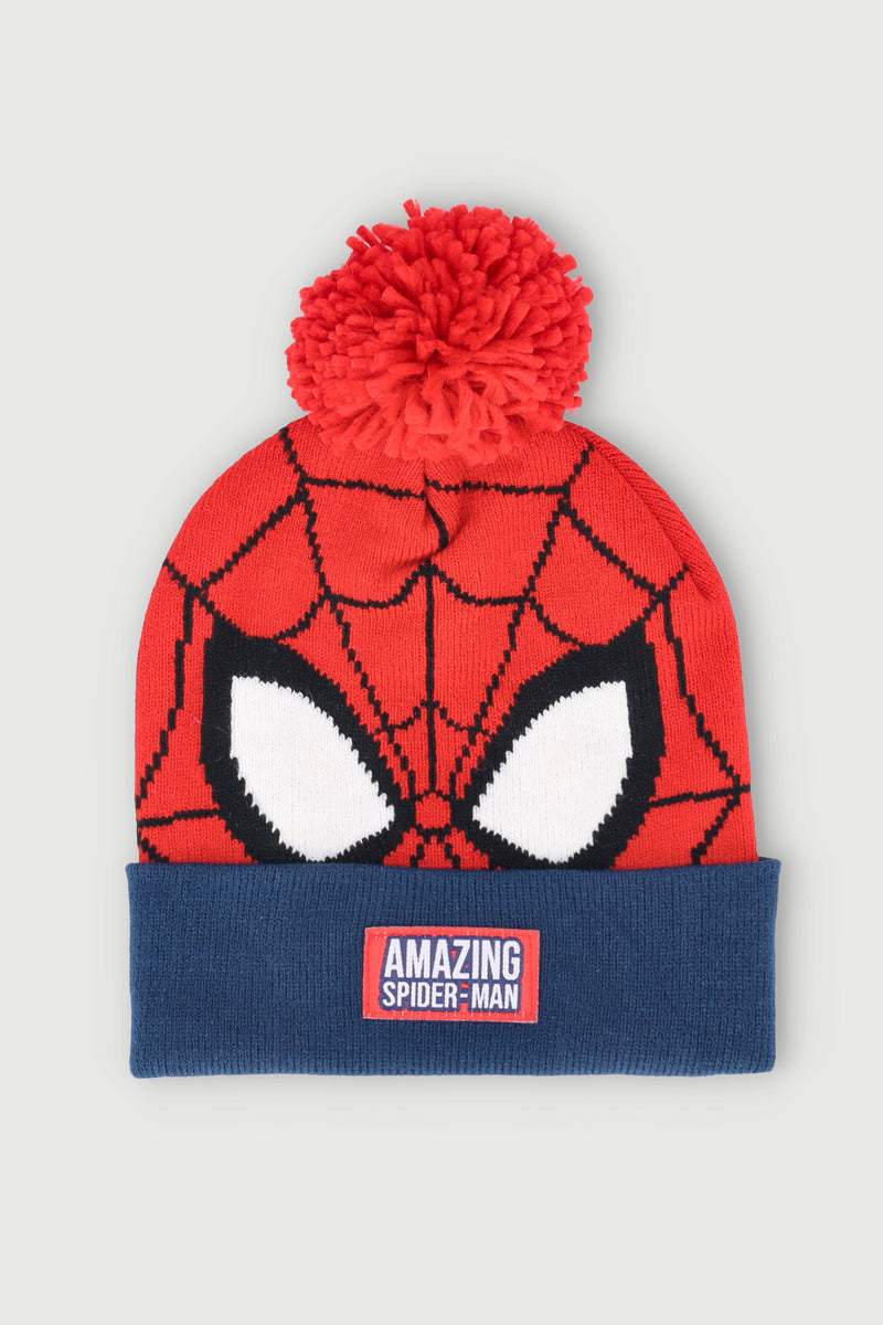 Pre-Boys Amazing Spiderman Beanie - Red