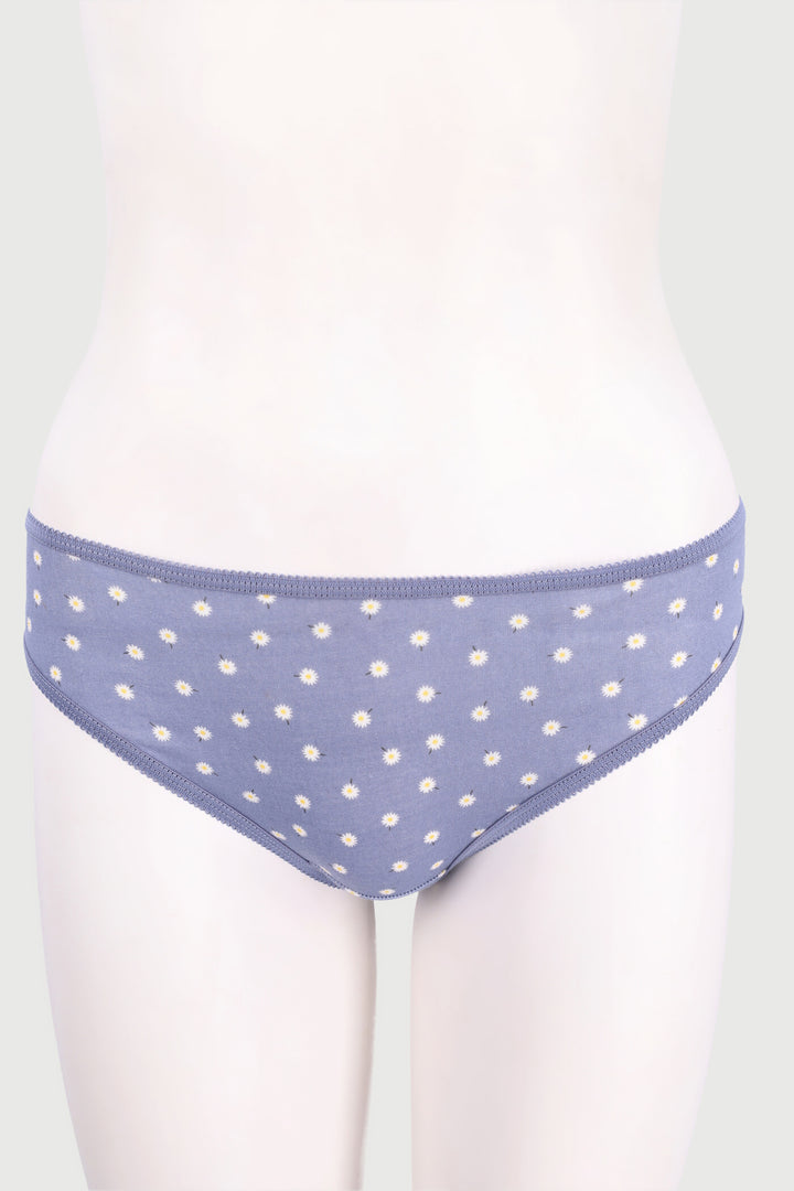 5 Pack Danilion Blue Cotton Bikini Panty