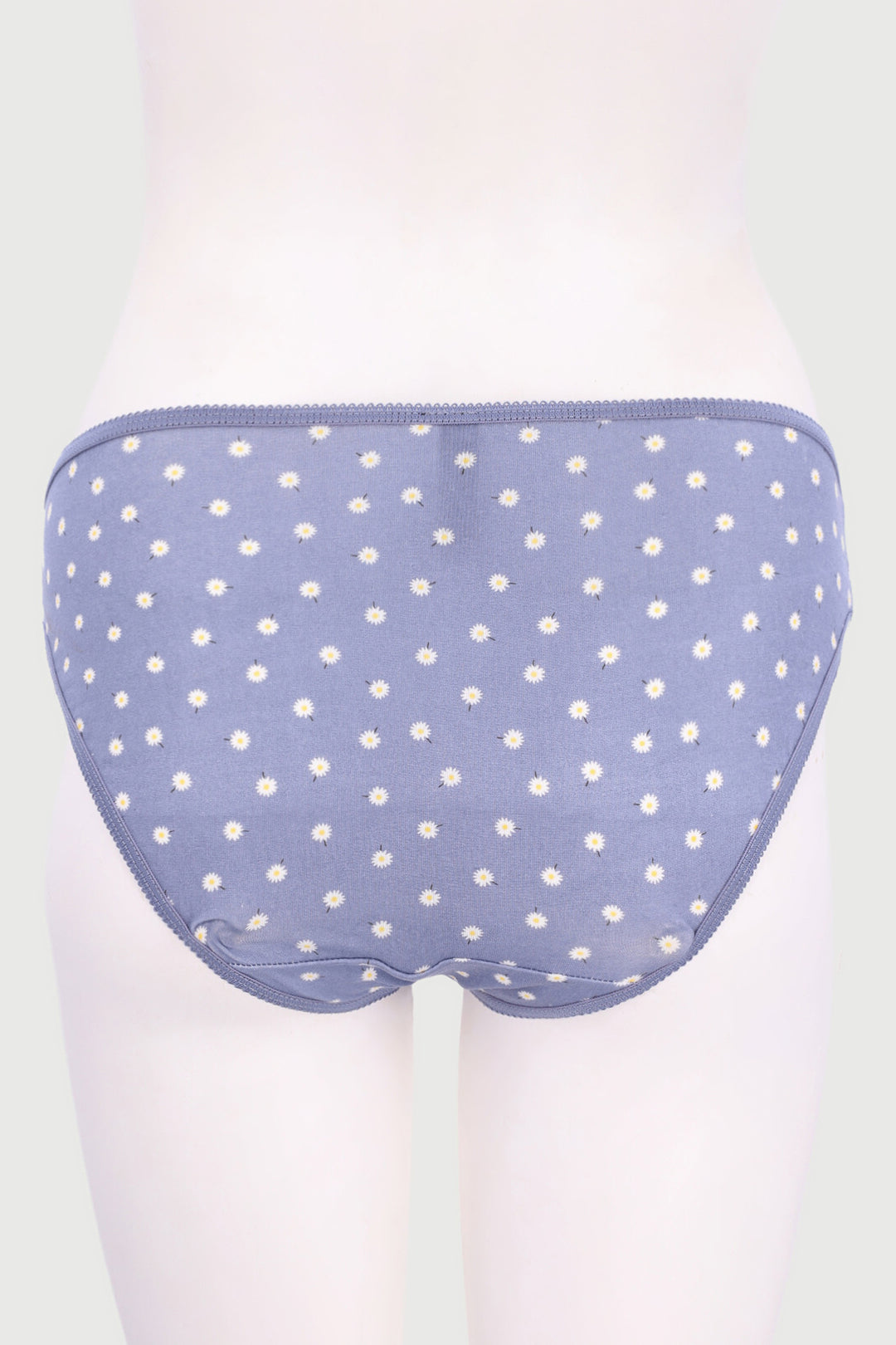5 Pack Danilion Blue Cotton Bikini Panty