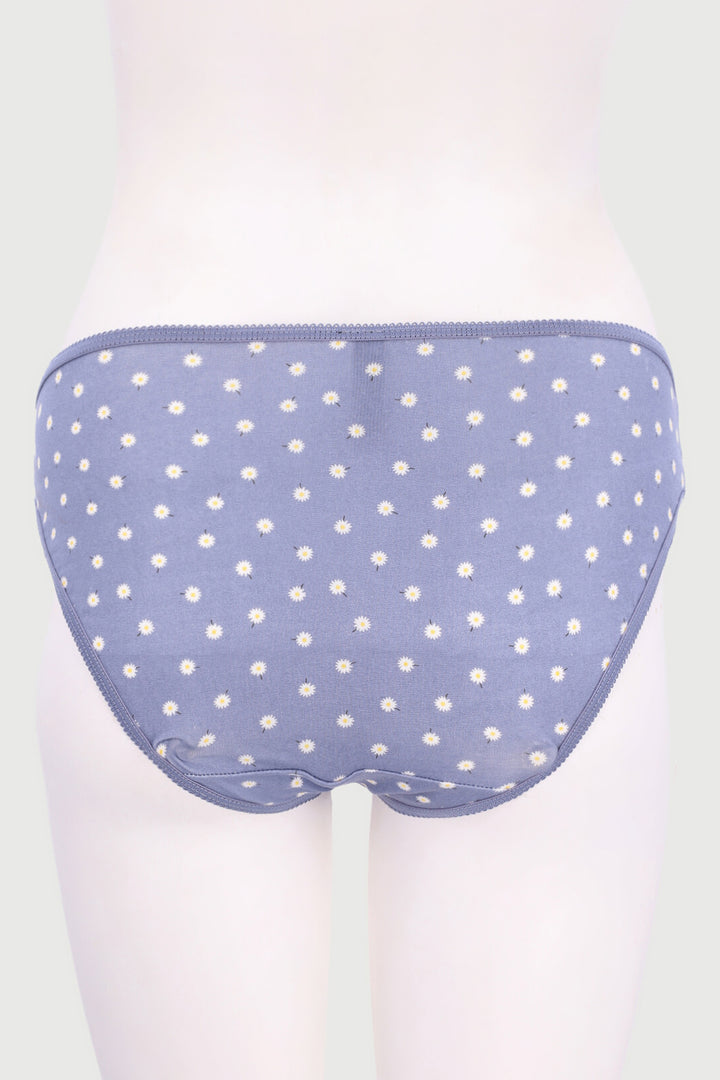 5 Pack Danilion Blue Cotton Bikini Panty