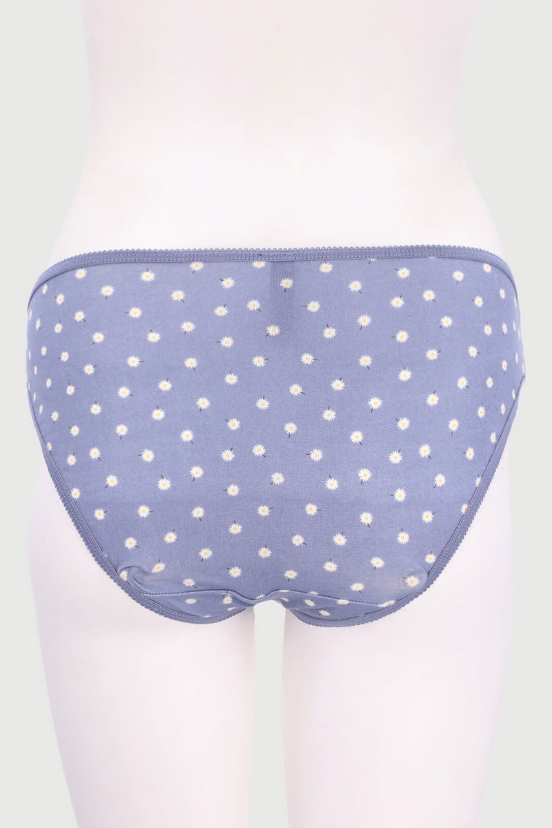 5 Pack Danilion Blue Cotton Bikini Panty