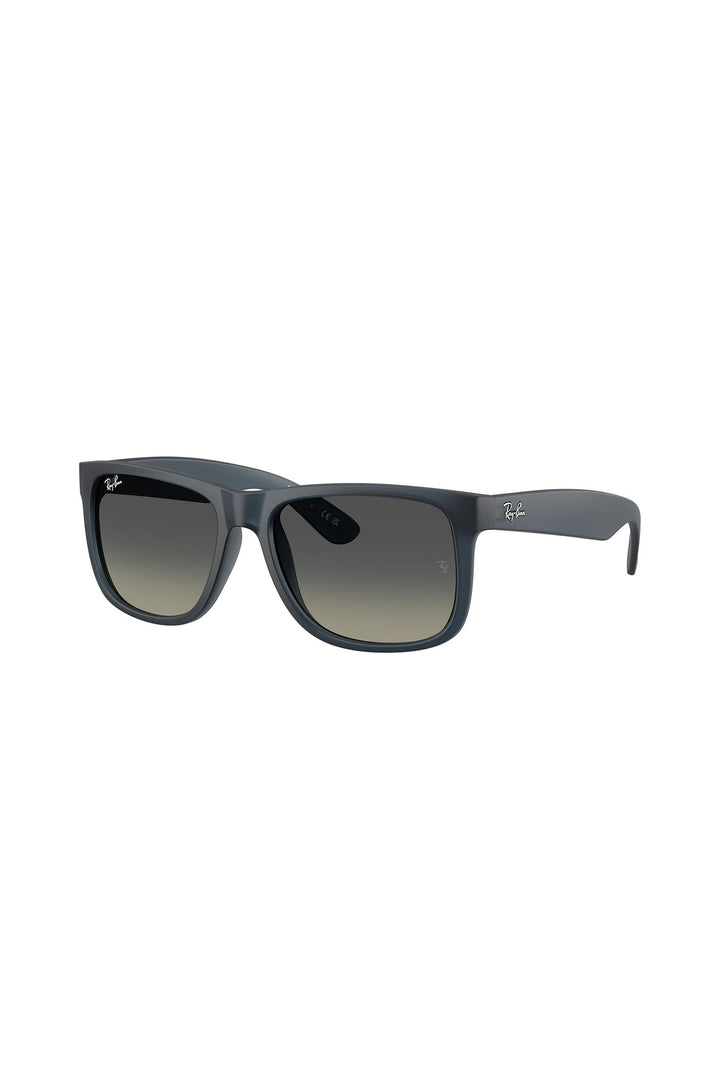 Justin Sunglasses - Blue