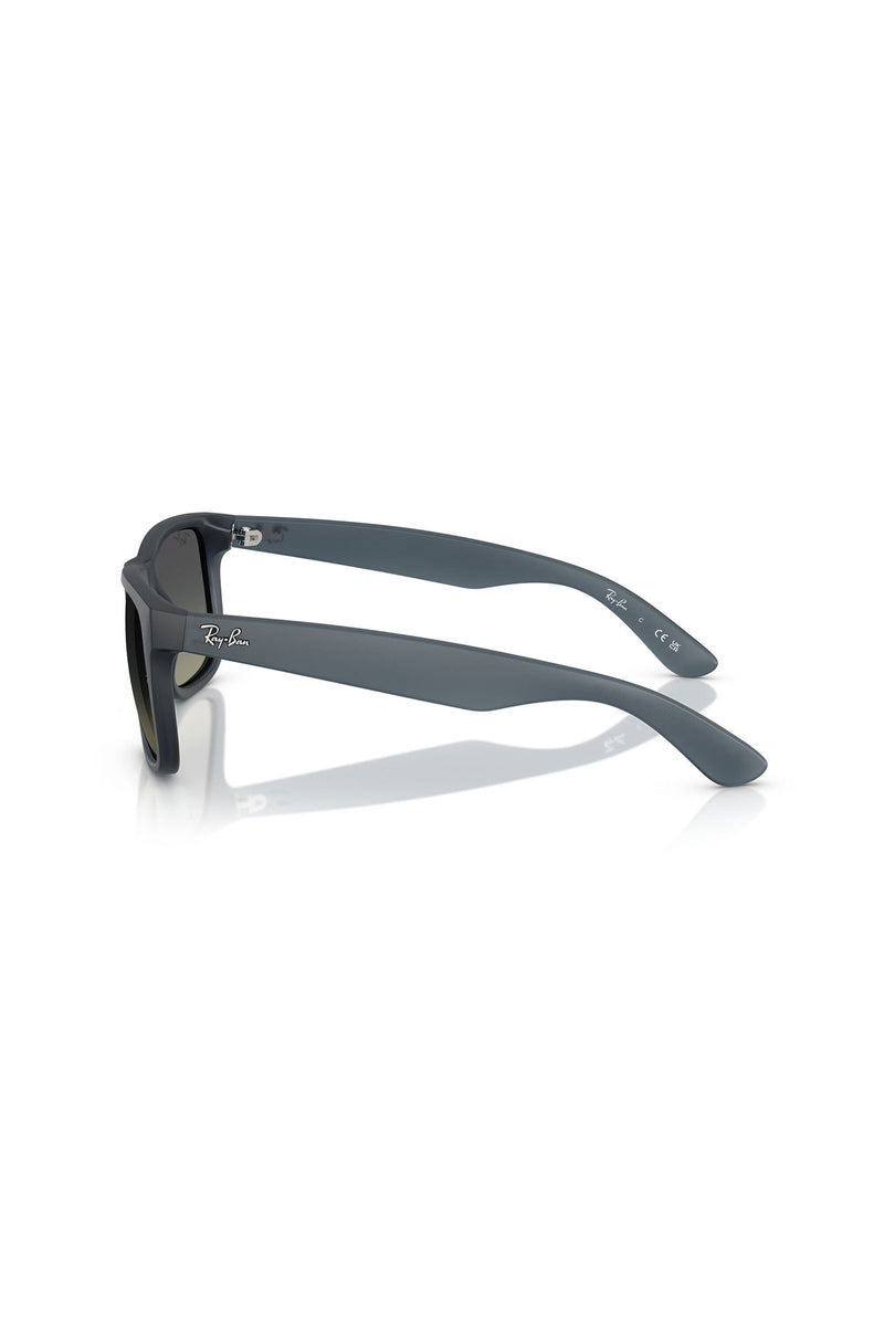 Justin Sunglasses - Blue