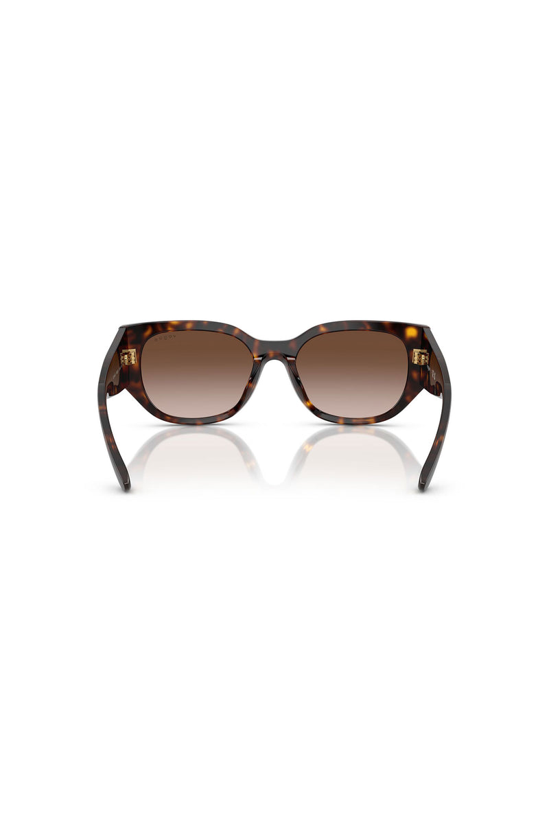 Tortoise Shell Sunglasses - Brown