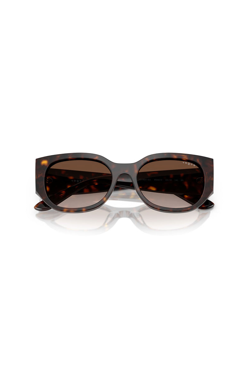 Tortoise Shell Sunglasses - Brown