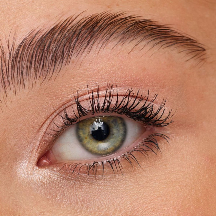 Highlighting Eyeshadow