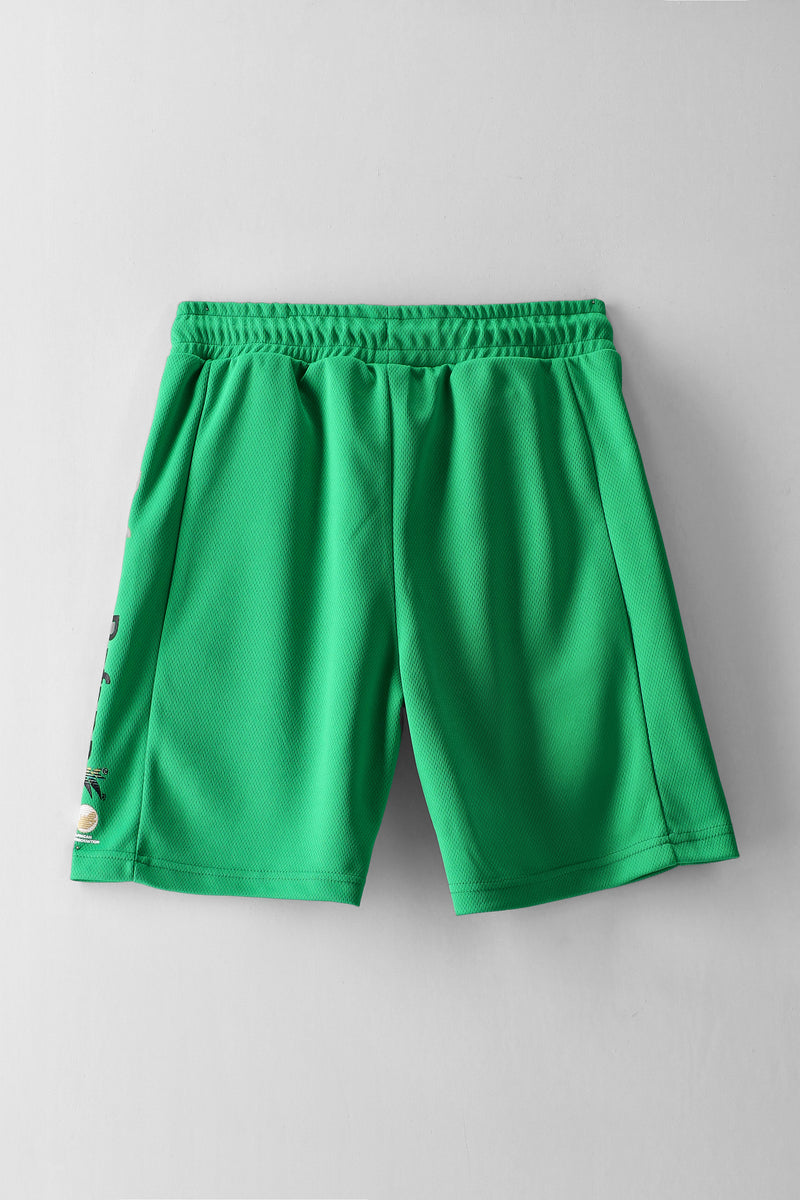 Boys Bafana Bafana Mesh Shorts - Green