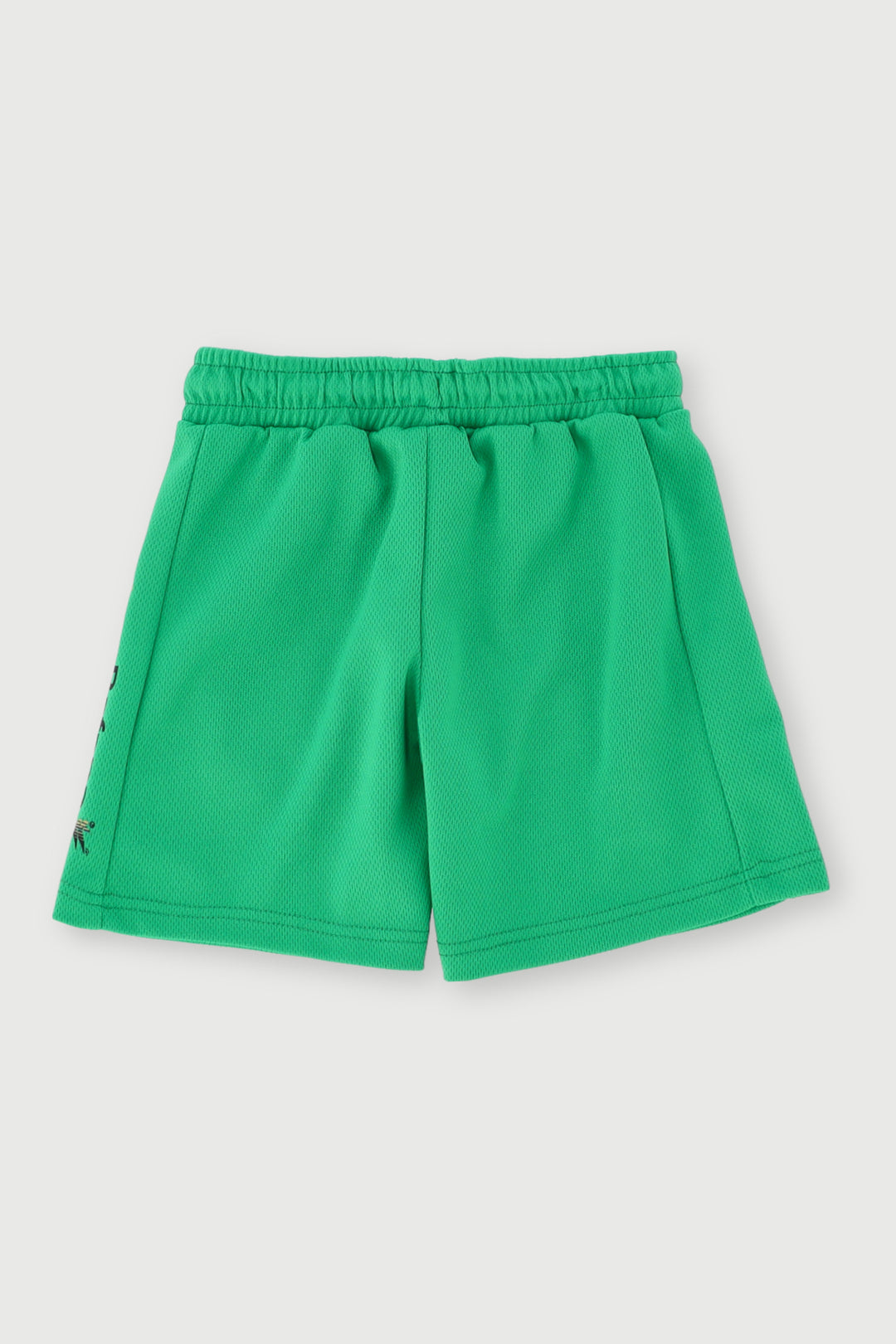 Pre-Boys Bafana Mesh Sport Shorts - Green