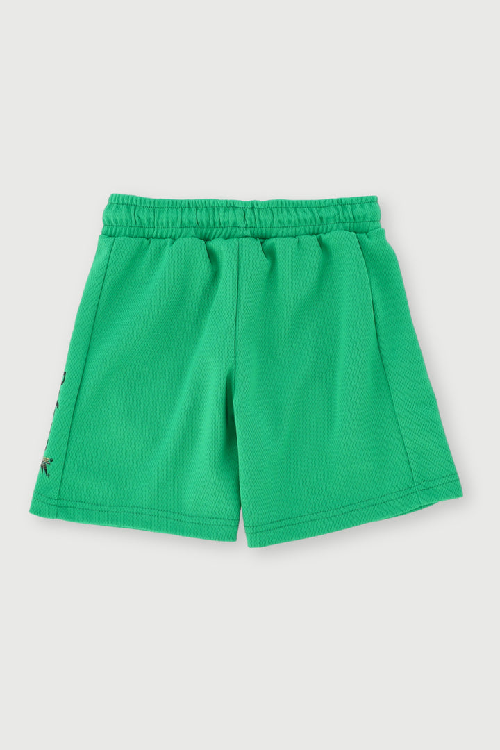 Pre-Boys Bafana Mesh Sport Shorts - Green