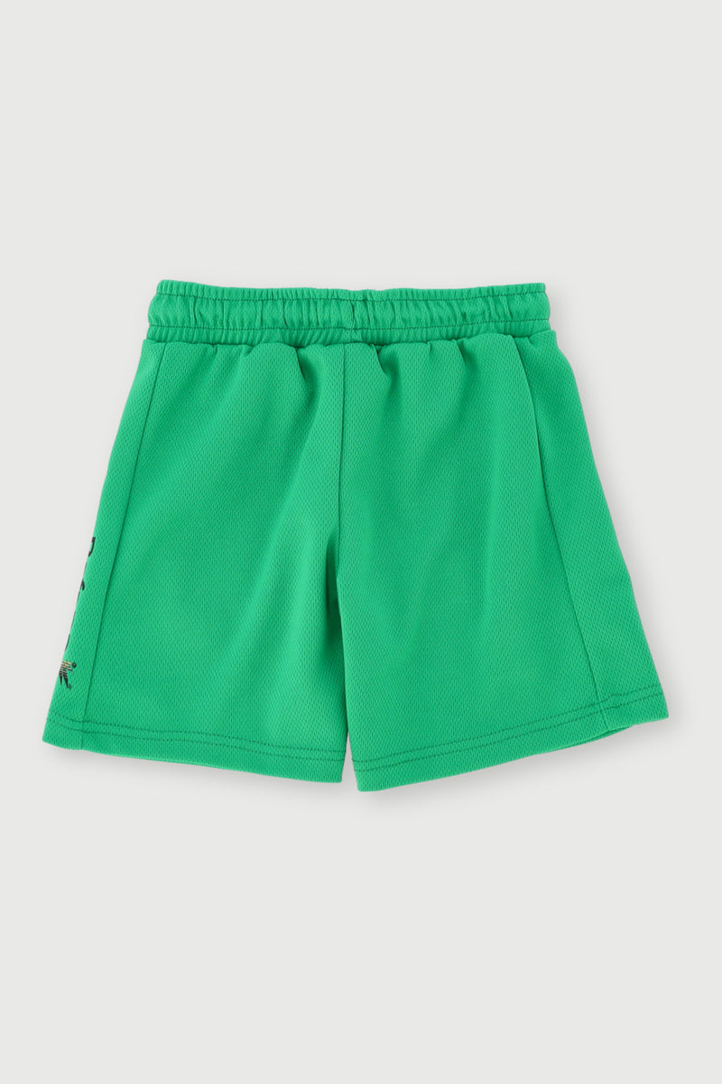 Pre-Boys Bafana Mesh Sport Shorts - Green