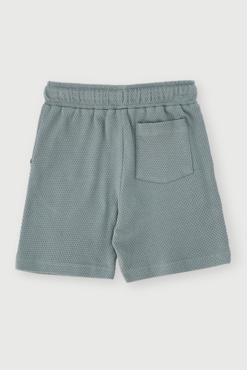 Pre-Boys Embossed Racing Shorts - Sage