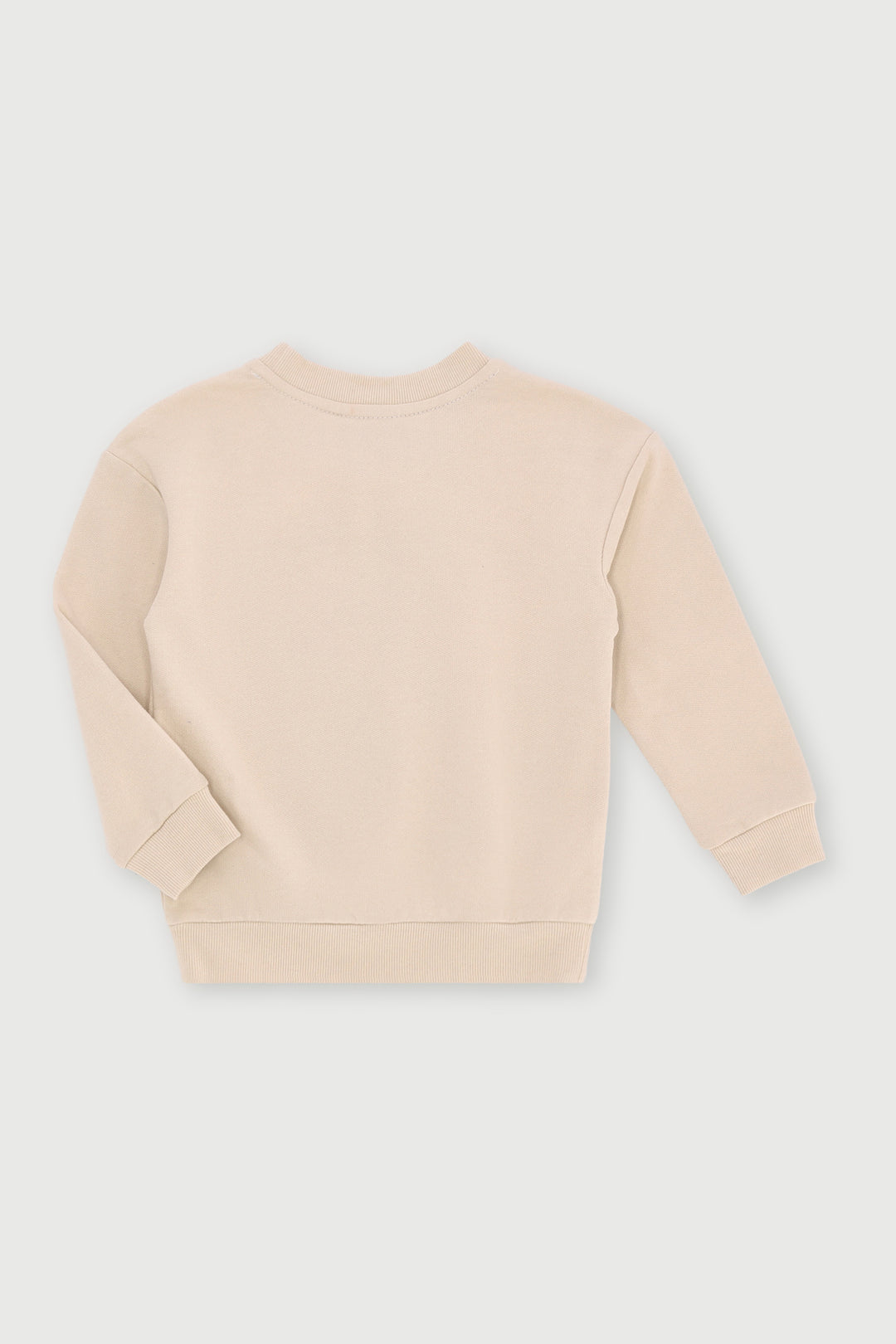 Pre-Boys Sonic Crew Top - Stone