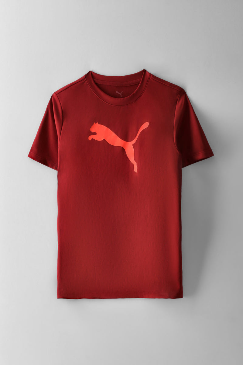 Boys Tad Essential Cat Logo Tee - Burgundy