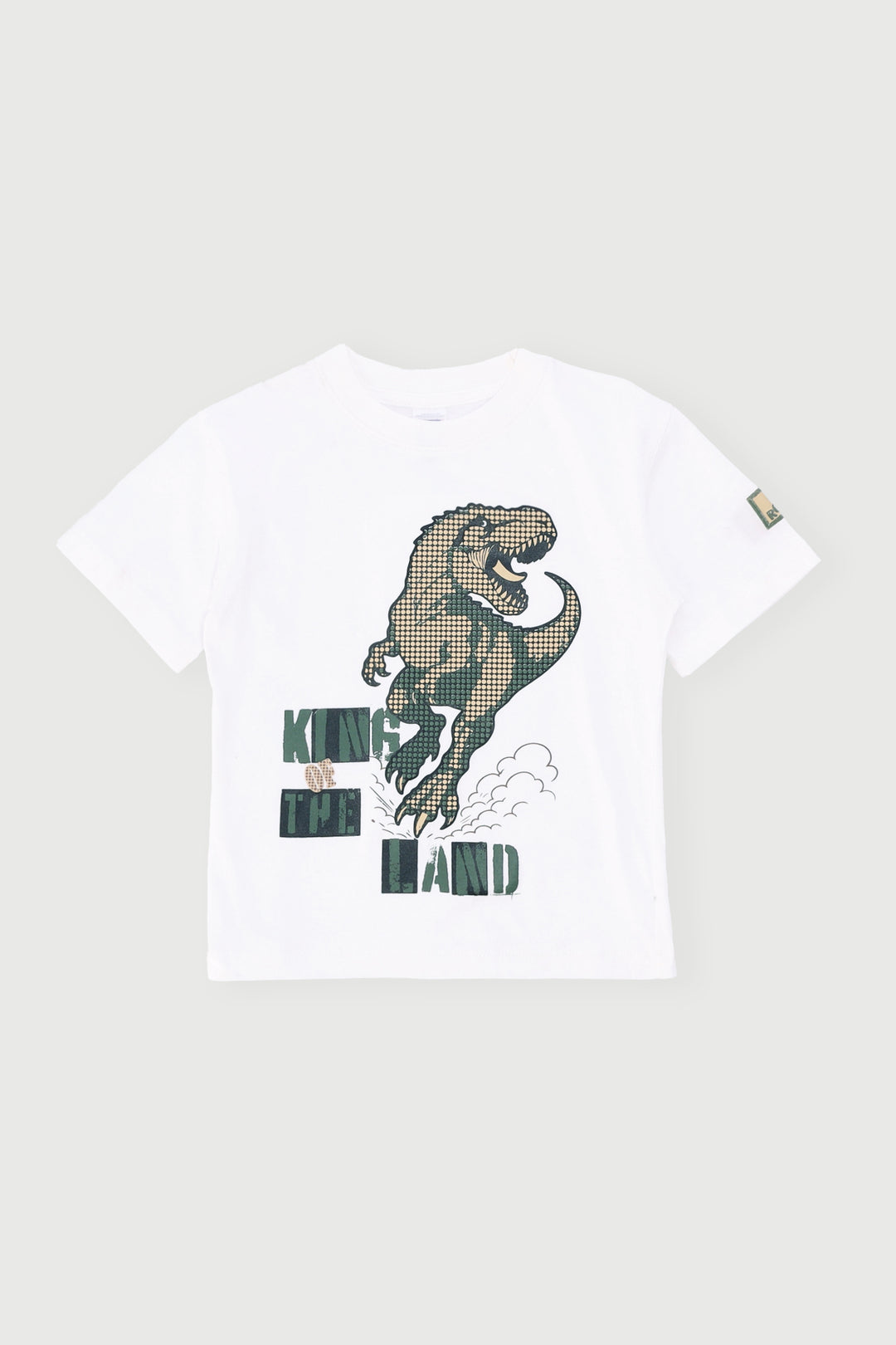 Pre-Boys Short Sleeve Dino Tee - White