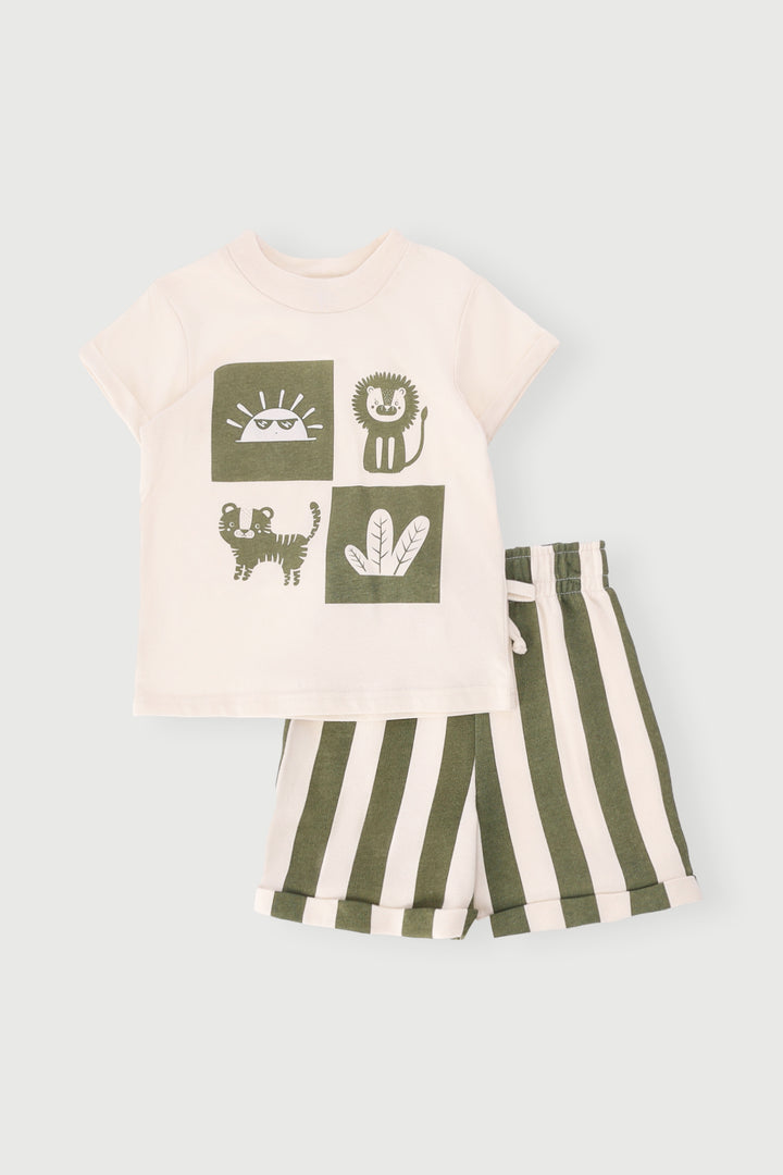 Baby Boys Safari Knit Set - Olive