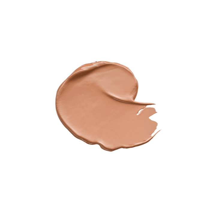 Liquid Camouflage High Coverage Concealer