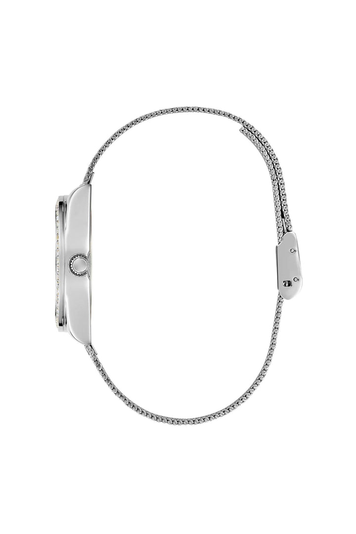 Ladies, Ip Silver Case, Silver Dial & Strap Watch