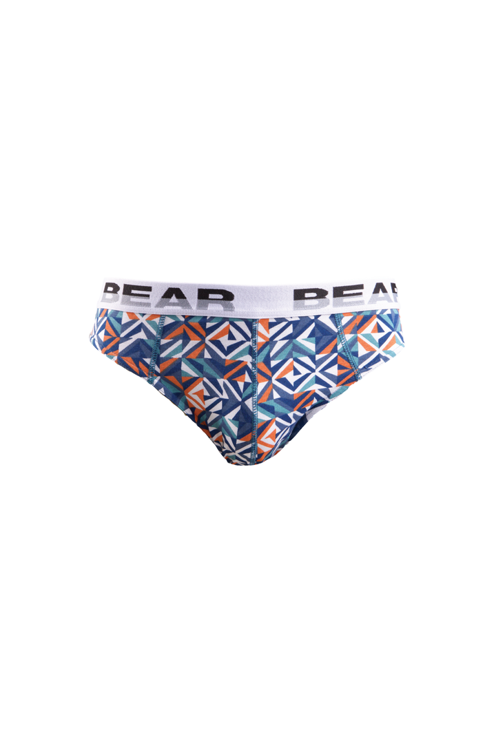 5 Pack Bear Mini Briefs - Multi