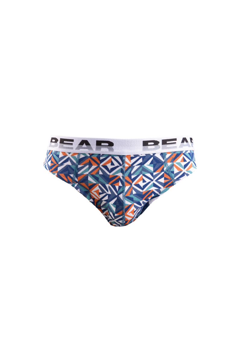 5 Pack Bear Mini Briefs - Multi