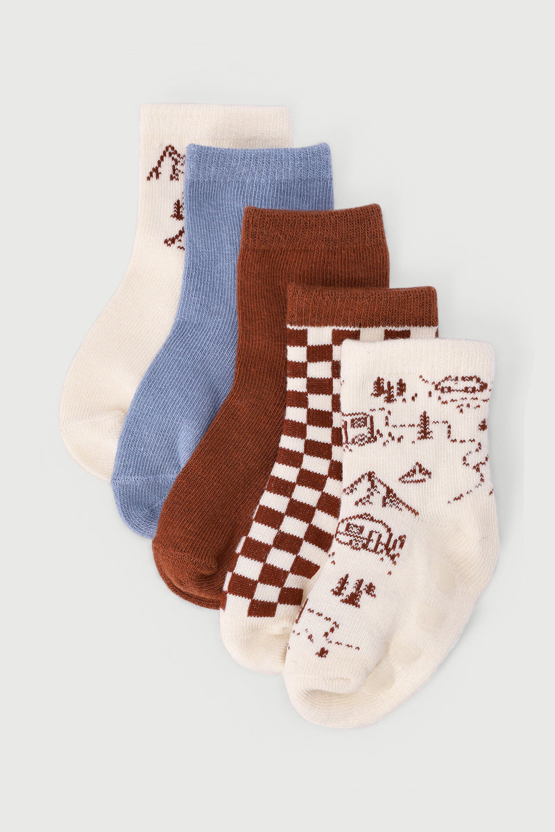 Baby Boys 5 Pack Teddy Checked Cotton Socks - Cream