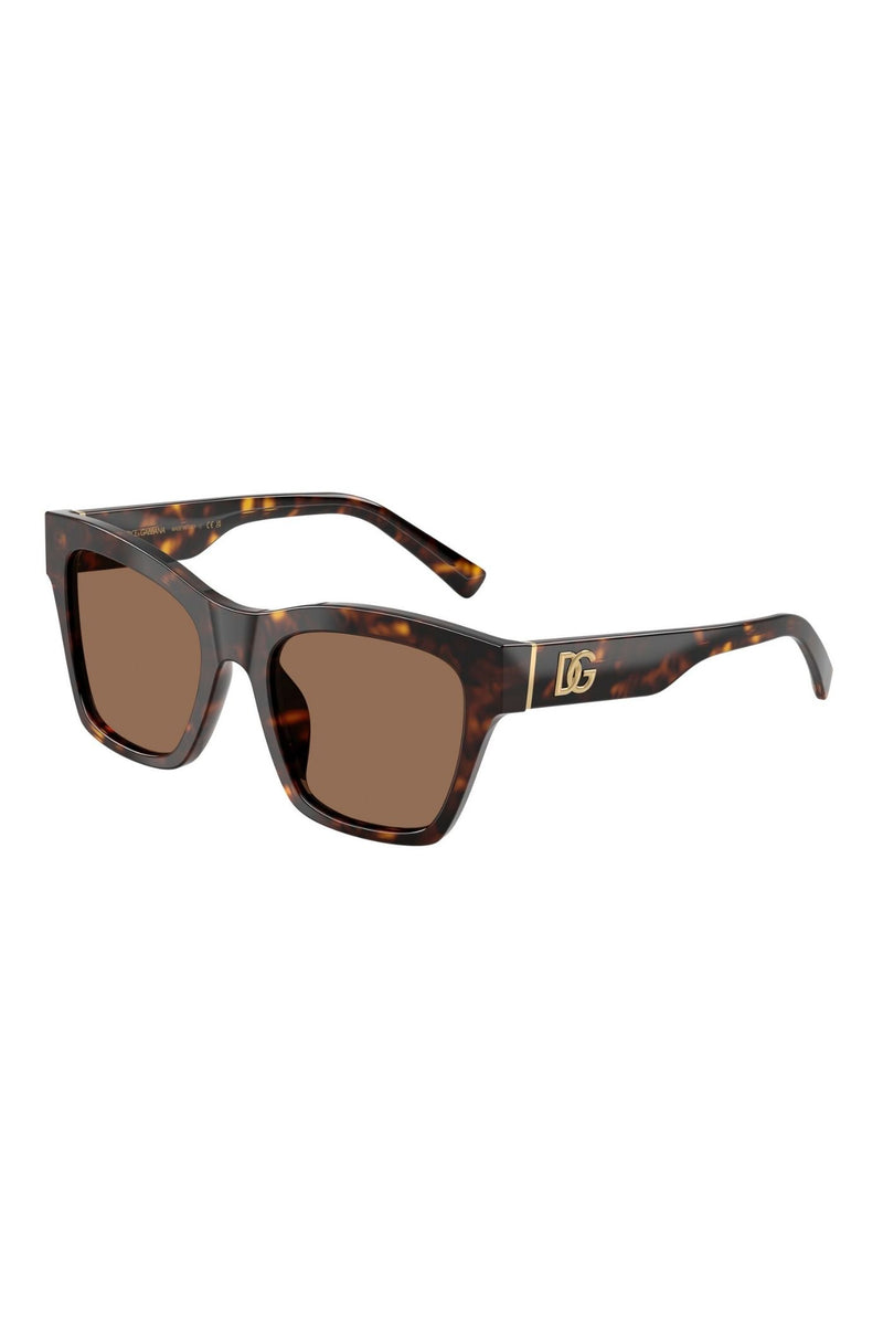 Havana Square Frame/ Brown Lens - Brown