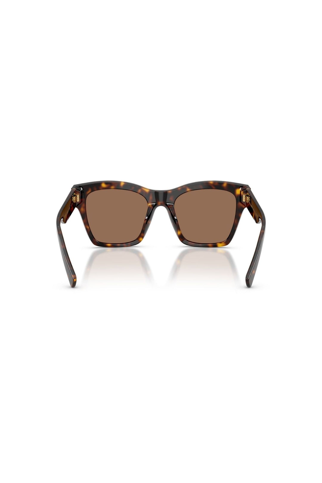 Havana Square Frame/ Brown Lens - Brown