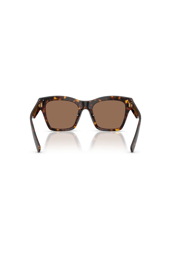 Havana Square Frame/ Brown Lens - Brown
