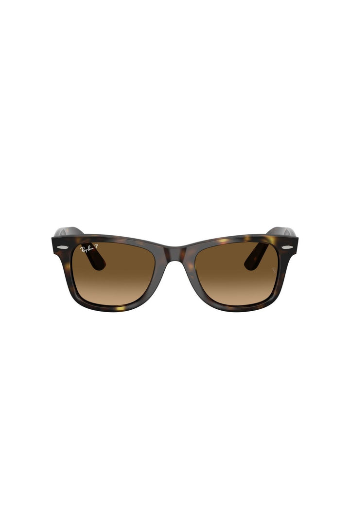 Havana Square Frame/ Brown Lens - Brown