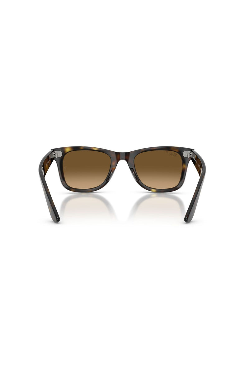Havana Square Frame/ Brown Lens - Brown