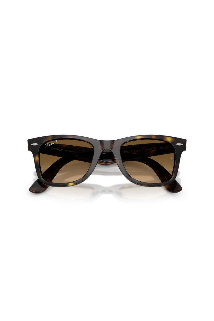 Havana Square Frame/ Brown Lens - Brown