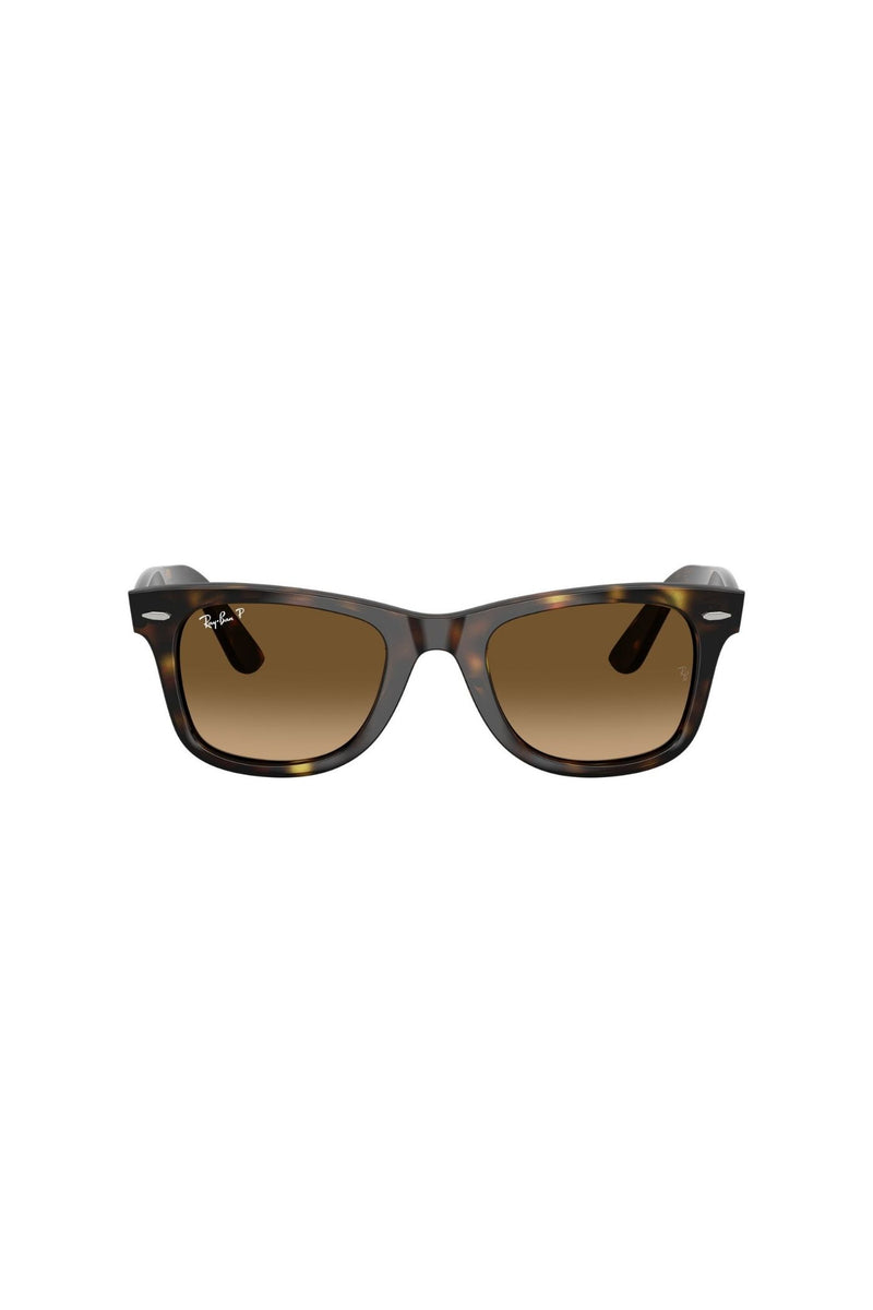 Havana Square Frame/ Brown Lens - Brown