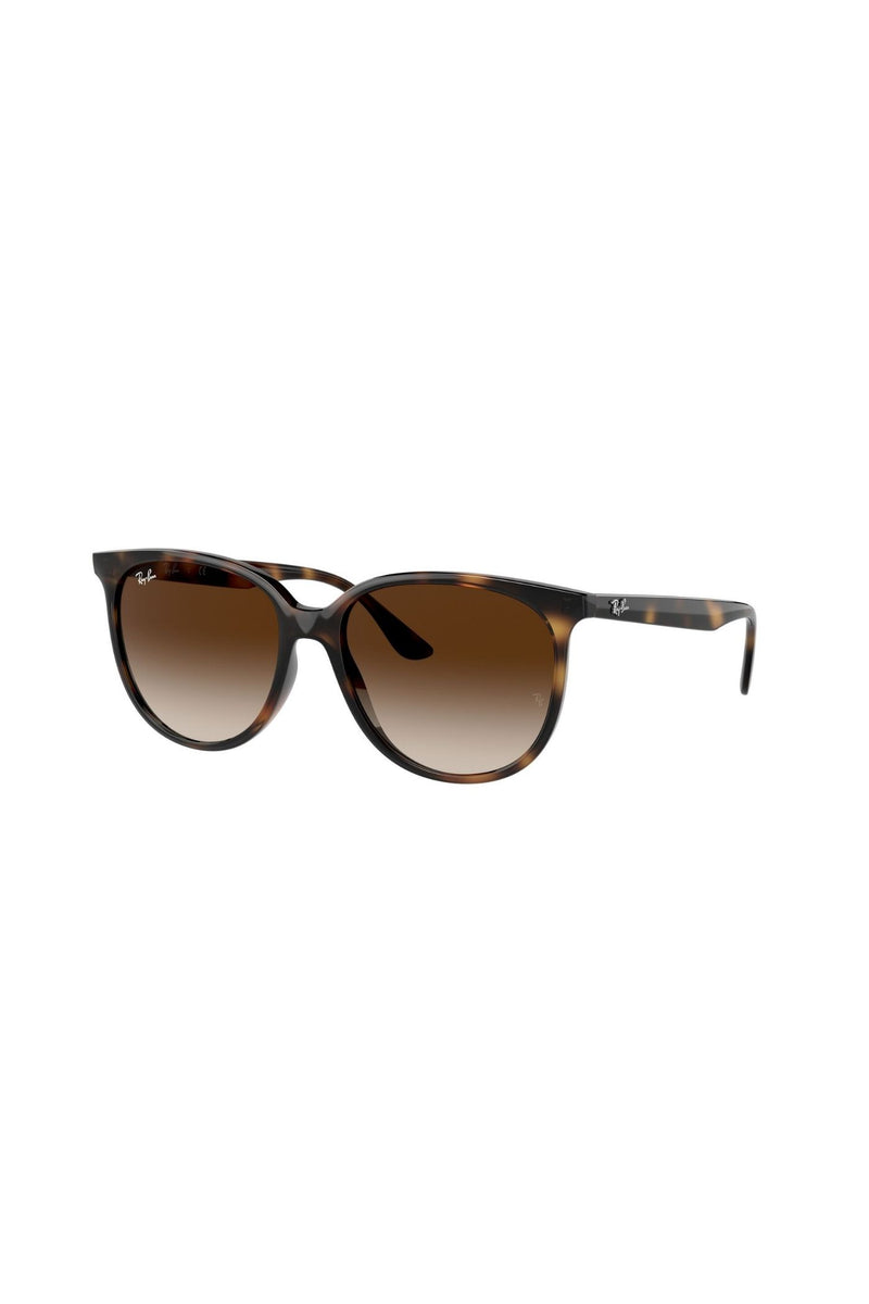 Havana Square Frame/ Brown Lens - Brown