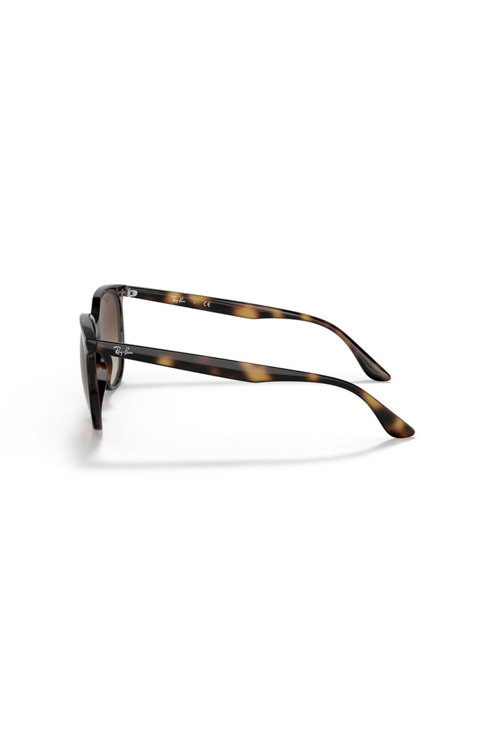 Havana Square Frame/ Brown Lens - Brown